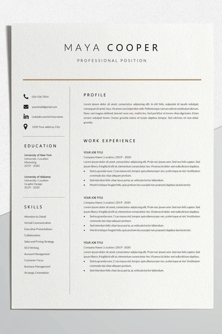 ATS Friendly CV Sample 2