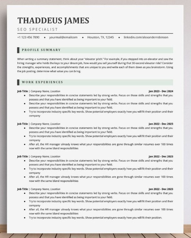 ATS Friendly CV Sample 4