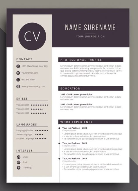 Modern Visual CV Design 3